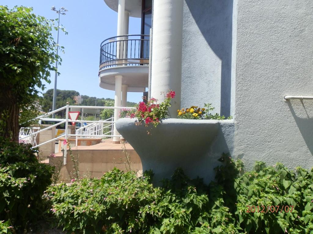 Hostal Bonavista بلانيس المظهر الخارجي الصورة